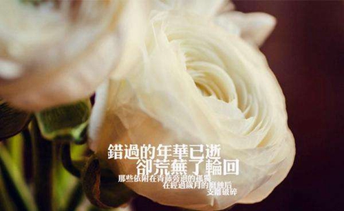 2025形容短句的晚安說說