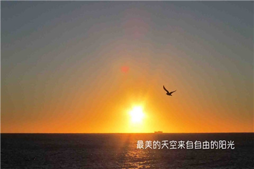 2025含有狼狽的說說句子