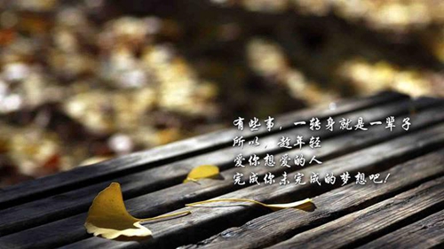 桃花源記寫桃花林的句子