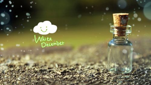 特別美的告白的話