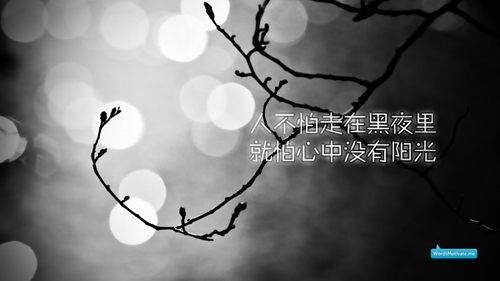 相思情話短句說說圖片