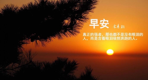 最暖心的撩妹情話